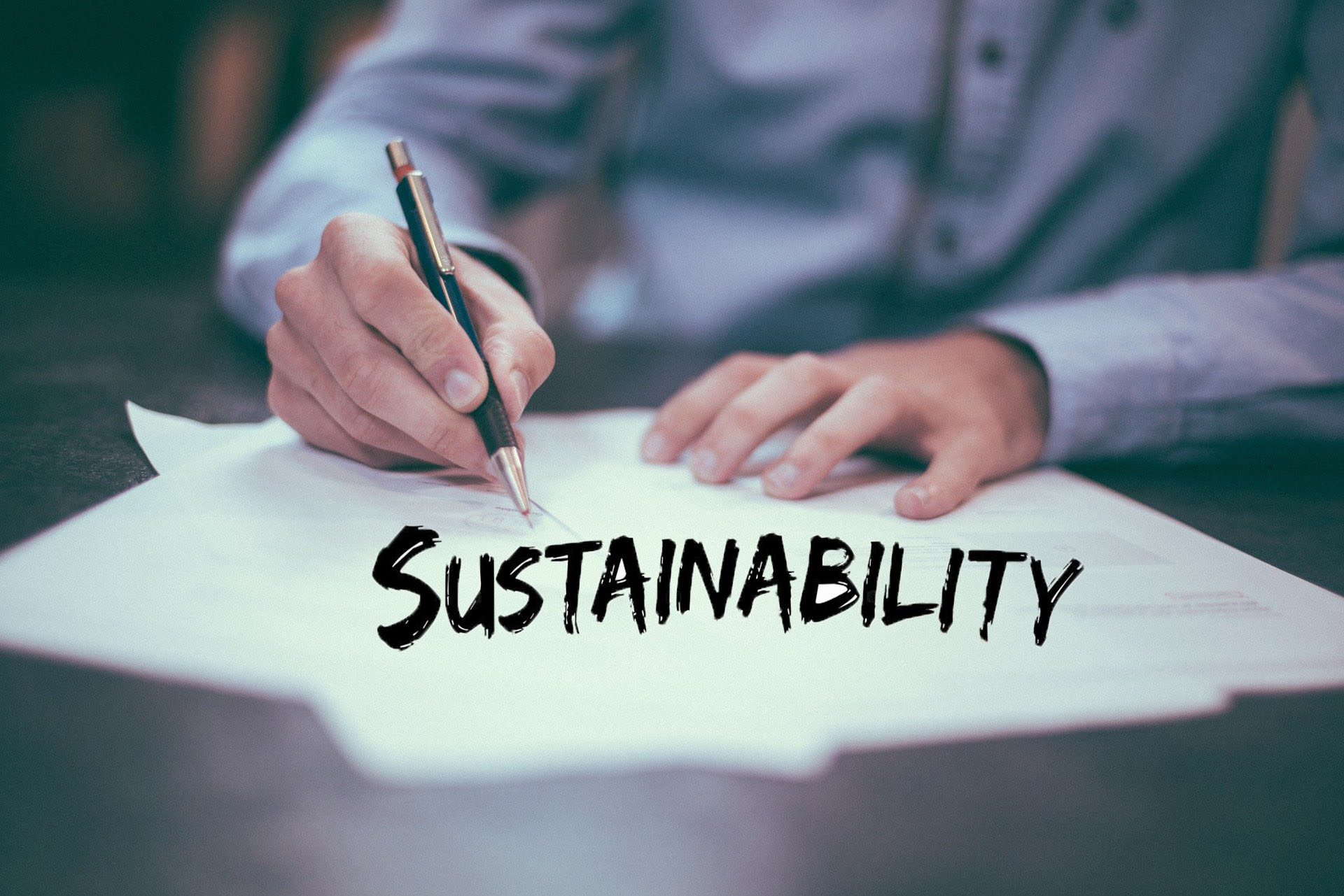 Sustainability: Definition and Why Is It Important with Practical Recommendations