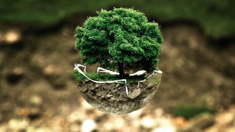 8 Simple Ways to Help the Environment