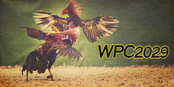 What is WPC2029 live How do i register for wpc live