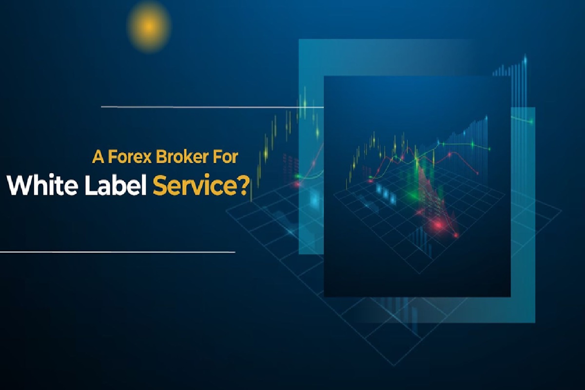 How To Choose A Forex Broker For White Label Service?