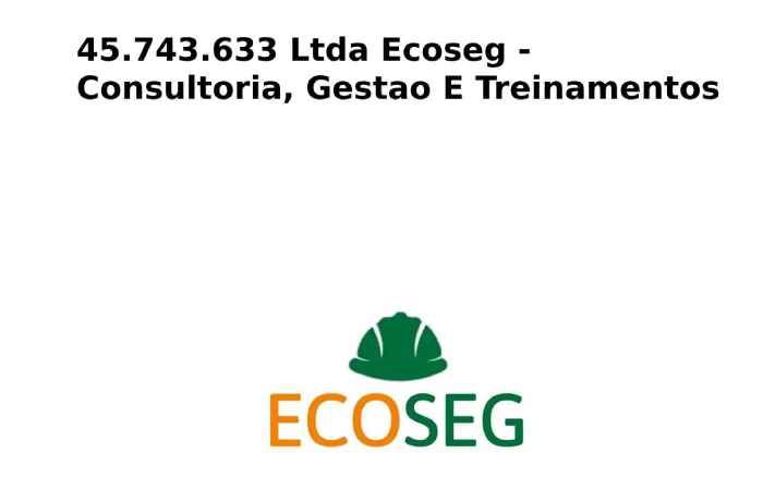45.743.633 Ltda Ecoseg - Consultoria Gestao E Treinamentos (2)