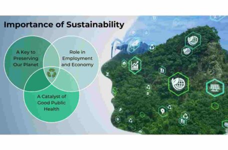 Sustainability_ Definition and Why Is It Important with Practical Recommendations