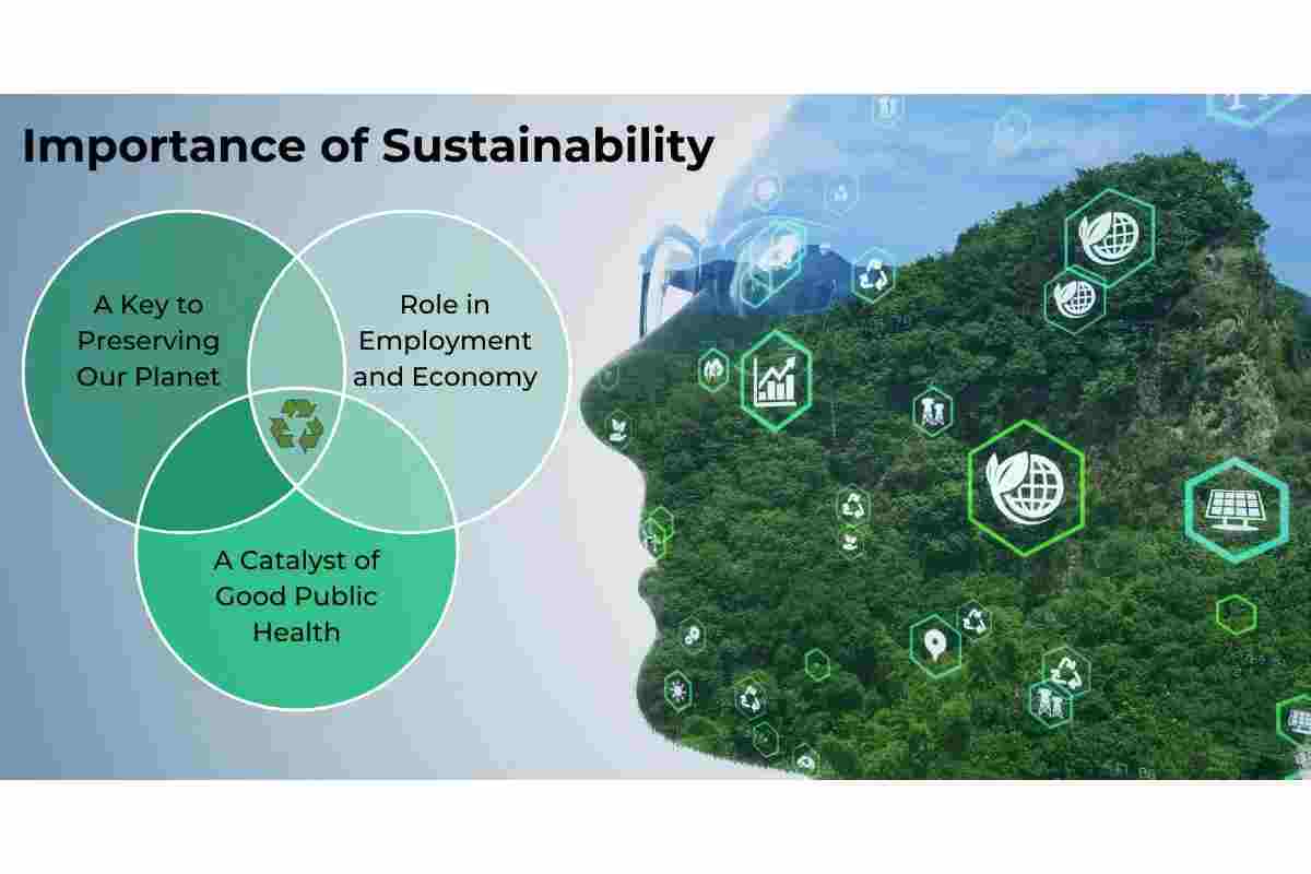 Sustainability: Definition and Why Is It Important with Practical Recommendations