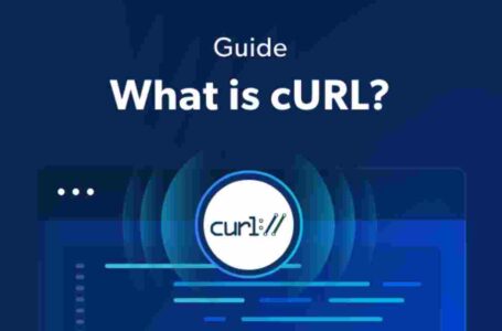 What Does cURL Do?